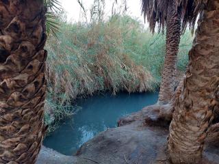 אצלנו בחצר - צימר למשפחות ולזוגות בדרום ים המלח - 2