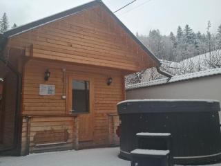 Pensiunea Putnisoara - 3