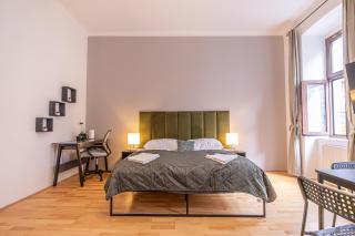 Spacious 3 adjacent Apartments, Very Central in Vienna - 2