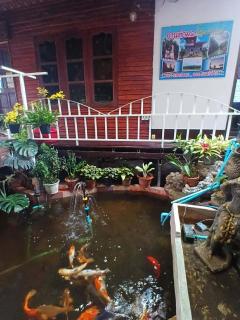 บ้านชมหมอก โฮมสเตย์ น้ำหนาว - 1