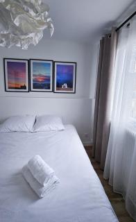 Cosy blue - Hyper Centre - Home cinéma - 5