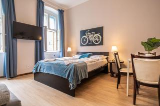 Spacious 3 adjacent Apartments, Very Central in Vienna - 3