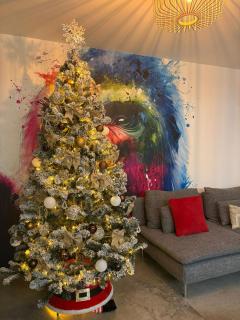 Gites Spa Strasbourg - Villa Gorille - SPA Privé, Sauna, Borne d'arcade, Babyfoot - 9