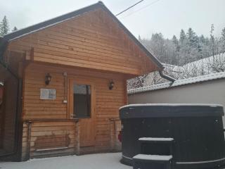 Pensiunea Putnisoara - 2