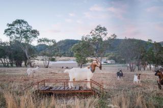 Spacious 4-Bedroom Rural Retreat in Moonbi & Bring Your Horses! - 4