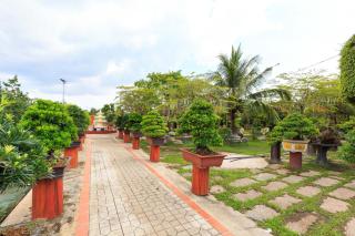 Sadec Bonsai Farmstay - 4