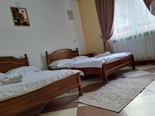 Pensiunea Putnisoara - 6