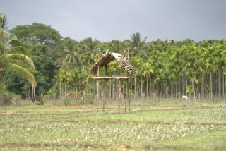 Tulasi homestay - 8