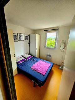 La maison de Lolita-Piscine-Parking-Jardin-acces Canal - 7