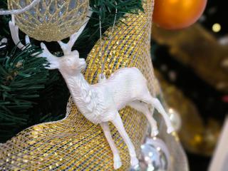 25P Enchanting Bungalow Retreat - Mystical Garden,Petaling Jaya by Verano - 6