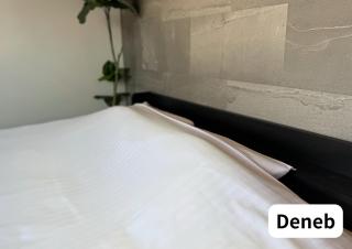 Room 2type Fuji Trip House Sepia 3F and Deneb 4F - 9