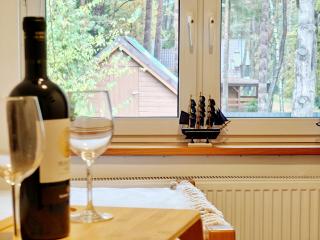 Dom Pod Sosnami e-apart pl - 1