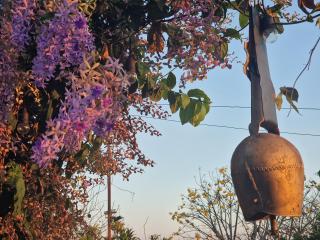 HILLTOP Panorama - 9