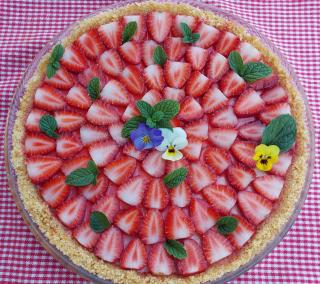 HILLTOP Panorama - 1