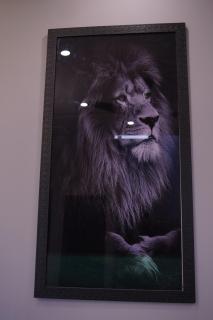 Luxury Fully Furnished 5 Marla House in DHA Phase 9 town - 3