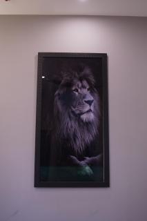 Luxury Fully Furnished 5 Marla House in DHA Phase 9 town - 2