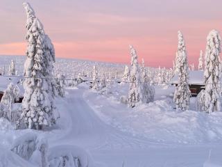 Sälen Gruvens fäbod - 5