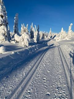 Sälen Gruvens fäbod - 4