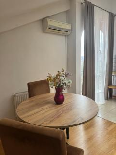 Penthouse by the park - 7