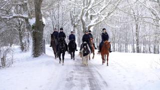 Metsapiiga Puhkemaja - 3