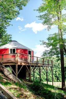 Gorgeous Yurt on a Beautiful Farm with Incredible Views for a Unique Glamping Getaway near North Tazewell, Virginia - 5