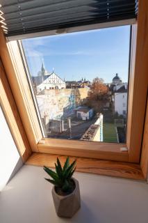 AUSTRIAN APART HOTEL - Lviv - 8