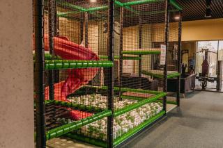 Polanica Park - Polanica Prestige - 5