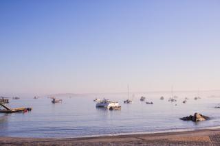 Waterfront Apartment - 8