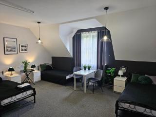 Pokój 105 Comfort - 5