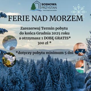 Domki Sosnowa Przystań z Jacuzzi w Rozewiu - Jastrzębia Góra - 9