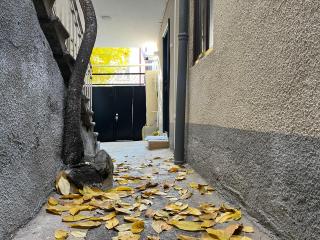 Old Tbilisi Cozy Apartment - 0