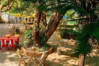 Casa Do Leão A 150 year Old Portuguese Home - 9