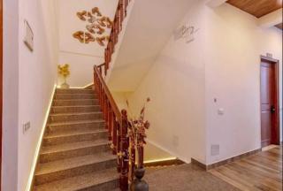 The Boho Stays Dharamshala - 1