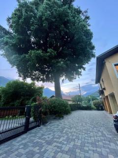 Bed & Breakfast L'Albero Maestro - 4