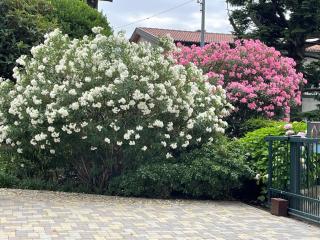 Bed & Breakfast L'Albero Maestro - 2