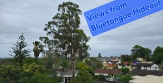 Bluetongue Hideout - 6