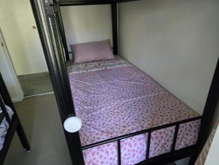 Bluetongue Hideout - 3