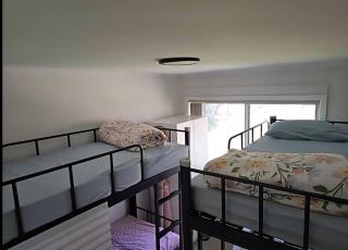 Bluetongue Hideout - 7