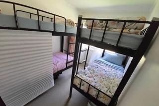 Bluetongue Hideout - 6