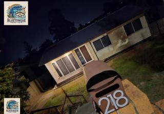 Bluetongue Hideout - 2