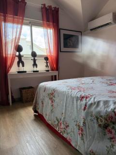 T2 La SALINE PROCHE DU LAGON - 3