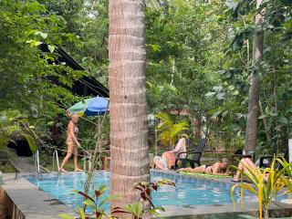 Nature World Jungle Paradise - 5