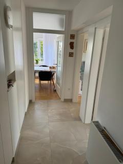 Crassula aurea apartment - 3