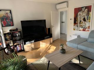 Crassula aurea apartment - 1