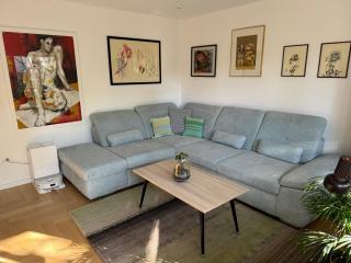 Crassula aurea apartment - 9