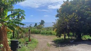 Chill on the Hill - 9