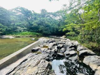 Geeth Wild Resort - 1