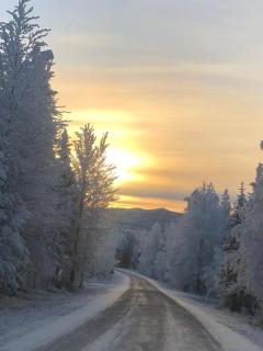 Alkkula apartment - 1