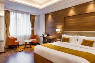 Hotel The Grand Helix Near Delhi Airport - 8