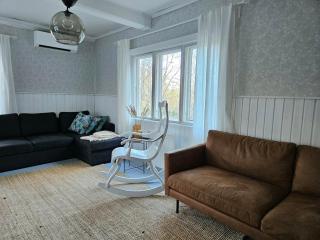 Villa Hattara - a cottage on the shore of a rapid - 1